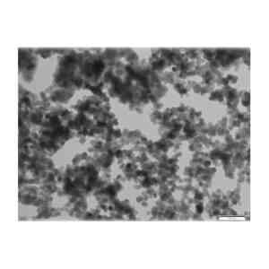 Magnetic nanoparticles