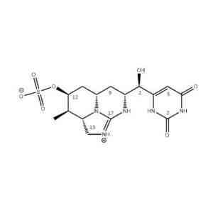 Cylindrospermopsin